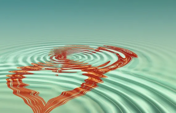 Βανγυαρδς Καζίνο Υποστηριξη